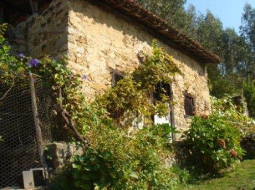 VENDE CASA PARA REHABILITAR CON FINCA D3 1000M2