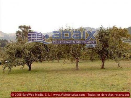 SE VENDE FINCA EDIFICABLE Y PARCELABLE DE 1800 M2 EN