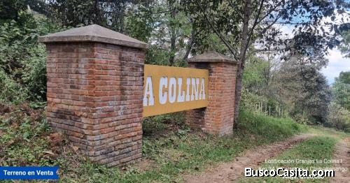 Terreno en Venta en Granjas La Colina I