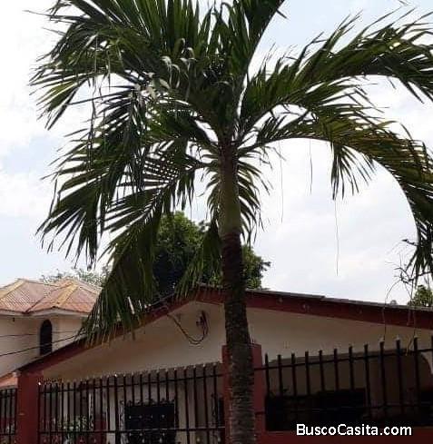 DE VENTA CASA EN COLONIA TARA, SAN PEDRO SULA