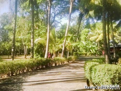 Hermosa Quinta en Venta y Alquiler en Carretera Masaya ID11550