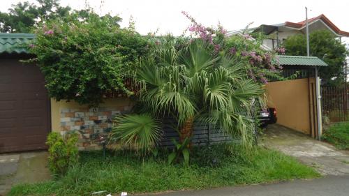 Comoda casa en desamparados de alajuela