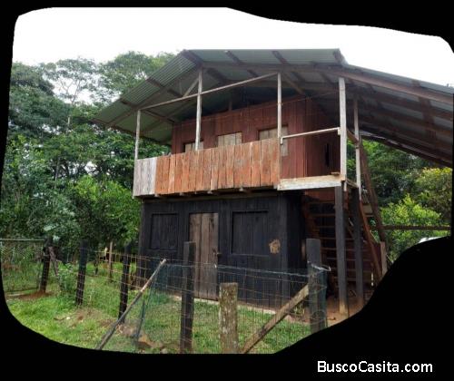 GRANDE Y BELLA PROPIEDAD CON CABAÑA EN PITAL DE SAN CARLOS.