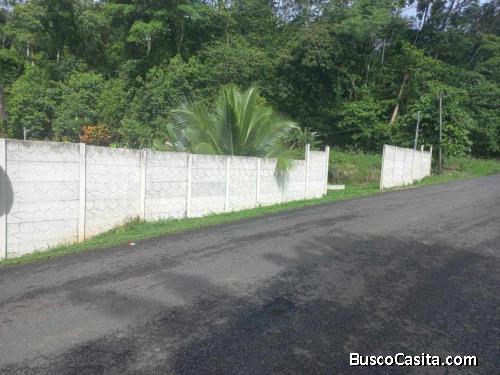 SE VENDE BELLA PROPIEDAD Y CASA EN FORTUNA, SAN CARLOS.