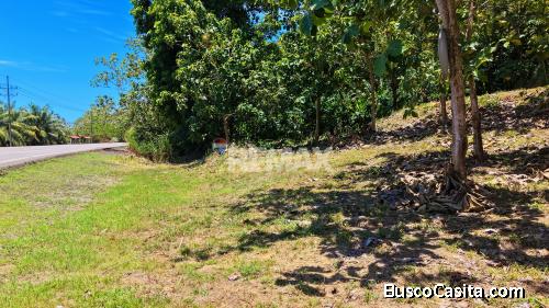 LOTE EN VENTA EN TAWAL, OSA – 5,029 m² CON USO MIXTO Y FRENTE A CARRETERA PRINCIPAL