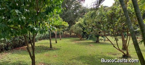 BELLÍSIMA QUINTA EN SAN PABLO DE TURRUBARES. 