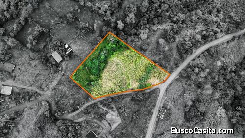 VENTA DE QUINTA SERENA EN SAN BLAS: 5.000 M2 CON QUEBRADA PROPIA