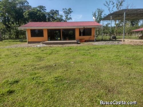 VENTA DE FINCA CON CASA, HEREDIA, SARAPIQUÍ, PUERTO VIEJO - 9929328