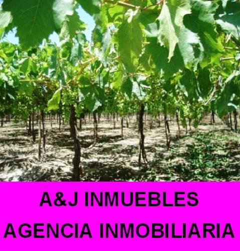 COMPRA-VENTA DE INMUEBLES URBANOS Y TERRENOS AGRICOLAS EN ICA Y PERU.