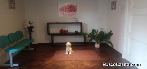 VENTA DE DEPARTAMENTO EN CERCADO DE LIMA