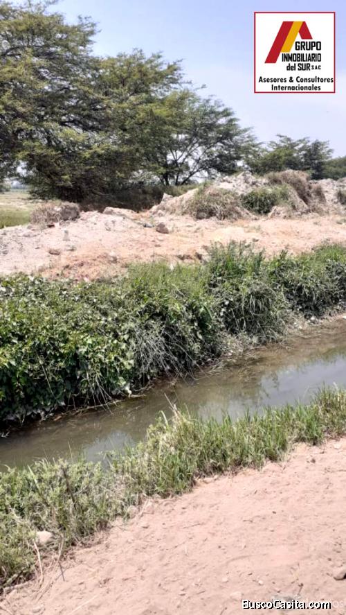 ● VENDO TERRENO AGRICOLA DE 5.3 HAS EN INDEPENDENCIA - PISCO, PISCO