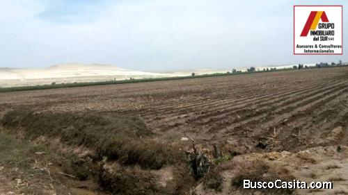 ● VENTA DE 13.68 HAS EN CAUCATO ALTO – SAN CLEMENTE - PISCO