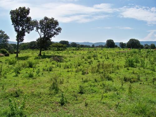 Magnifico terreno de 2 has ideal para su casa de Campo solo 1 hr de GDL