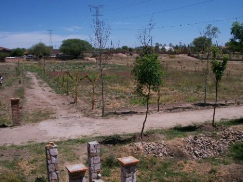 VENDO LOTE 7 CAMPESTRE de 800 m2 DENTRO DE LA CIUDAD