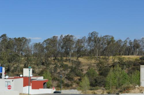 Hogar y tranquilidad en la mejor casa residencial.