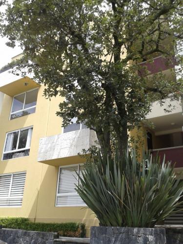 Departamento Seminuevo