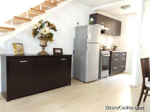 casas ecovivienda