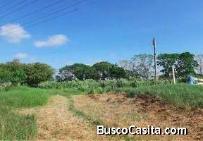 OPORTUNIDAD DE TERRENO EN DZIDZANTUN