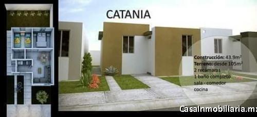 BUGAMBILIAS, GENERAL ZUZUA, N.L.