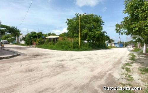 TERRENO EN VENTA UBICADO EN TANLUM 