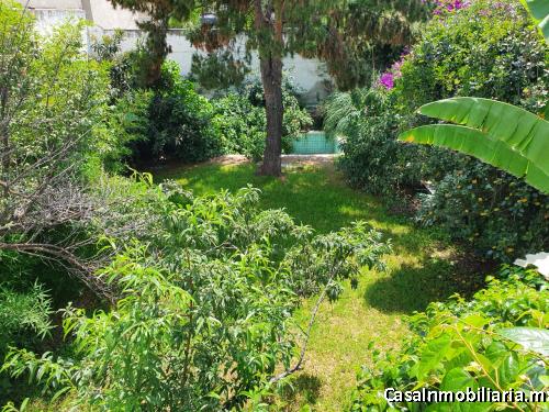 Desarrolladores! Casa con opción a 3 casas con excelente ubicación