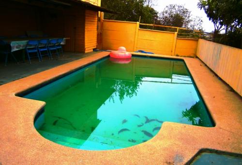 VENDO MAGNÍFICA CASA AMOBLADA 3 PISOS EN VIÑA CON GRAN TERRENO Y PISCINA 