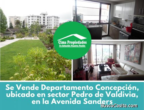 244 m2 Recepción 4D 5B Terraza Departamento Concepción