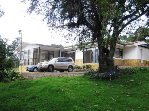 LA YERBABUENA