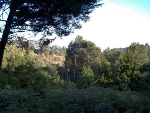 Lote veredal