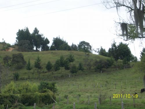 Lote industrial