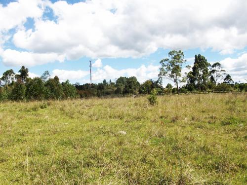 Lote industrial