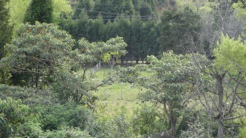 Lote industrial