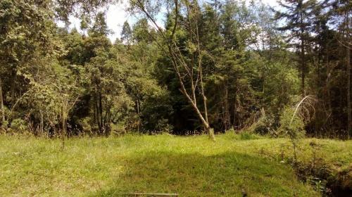 VENDO LOTE EN LA LOMA DEL ESCOBERO, ENVIGADO.