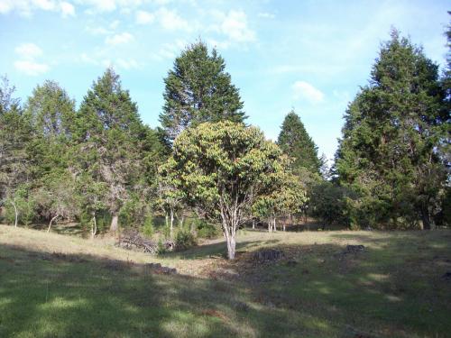 Lote en Guarne de 50.000 mts2