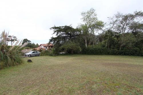 Lote Palmas