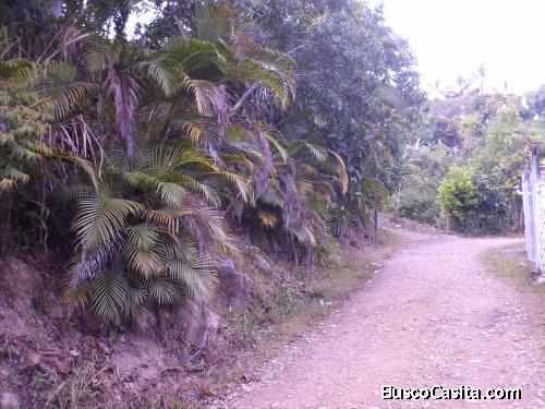 Vendo o permuto casalote Chinauta, Cund.