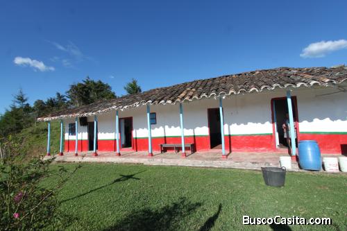 Finca en San Vicente vereda Ovejas