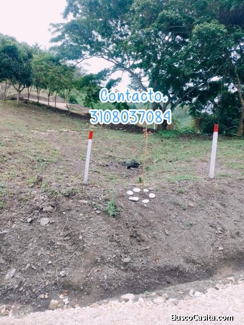 Hermosos lotes y fincas en Viotá.