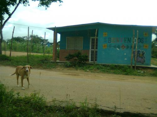 VENDO LINDA CASA A ESTRENAR POR MOTIVO DE VIAJE.