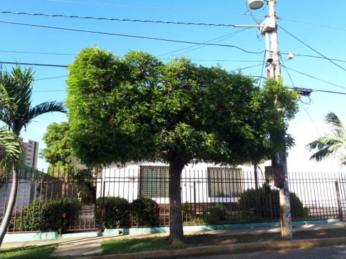 Venta Casa Maracaibo las Lomas