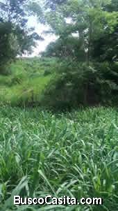 Finca ubicada en plena vía asfaltada a 15 minutos de la bomba de Yaracal (Sector campo alegre).