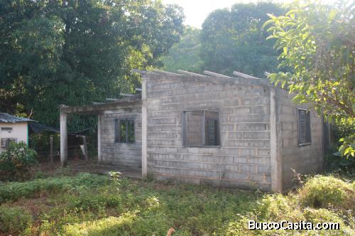 Casa y local comercial