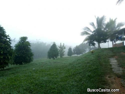 LINDO PARCELA SALOM NIRGUA VENDE FRANK BETANCOURT