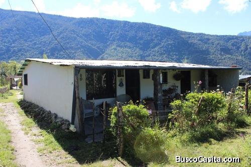 Se Vende Casa en Monterrey Bajo (Mérida)