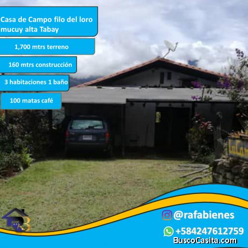  Casa de campo en el sector denominado filo del loro la mucuy alta Tabay Mérida.