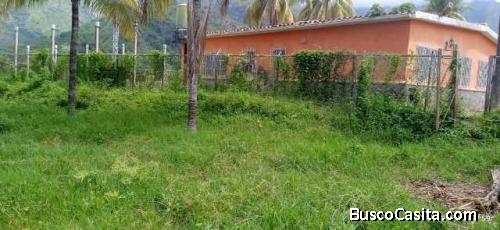 FINCA EN VENTA SAN CASIMIRO SUR ARAGUA VALLE MORIN 4,5 Hec