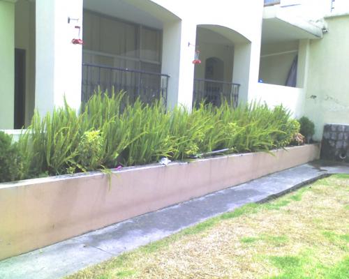 BELLAVISTA VENDO CASA