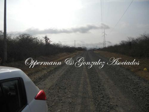 Terreno finca en venta en Manta.