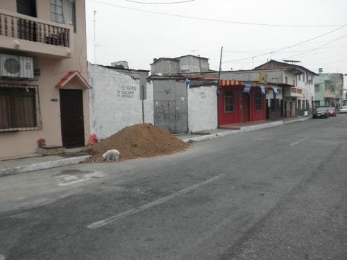 Casa y solar en el sur, Barrio Cuba.