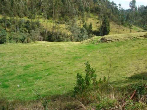DE OPORTUNIDAD VENDO TERRENO A UNA CUADRA DEL PARQUE DE PINTAG